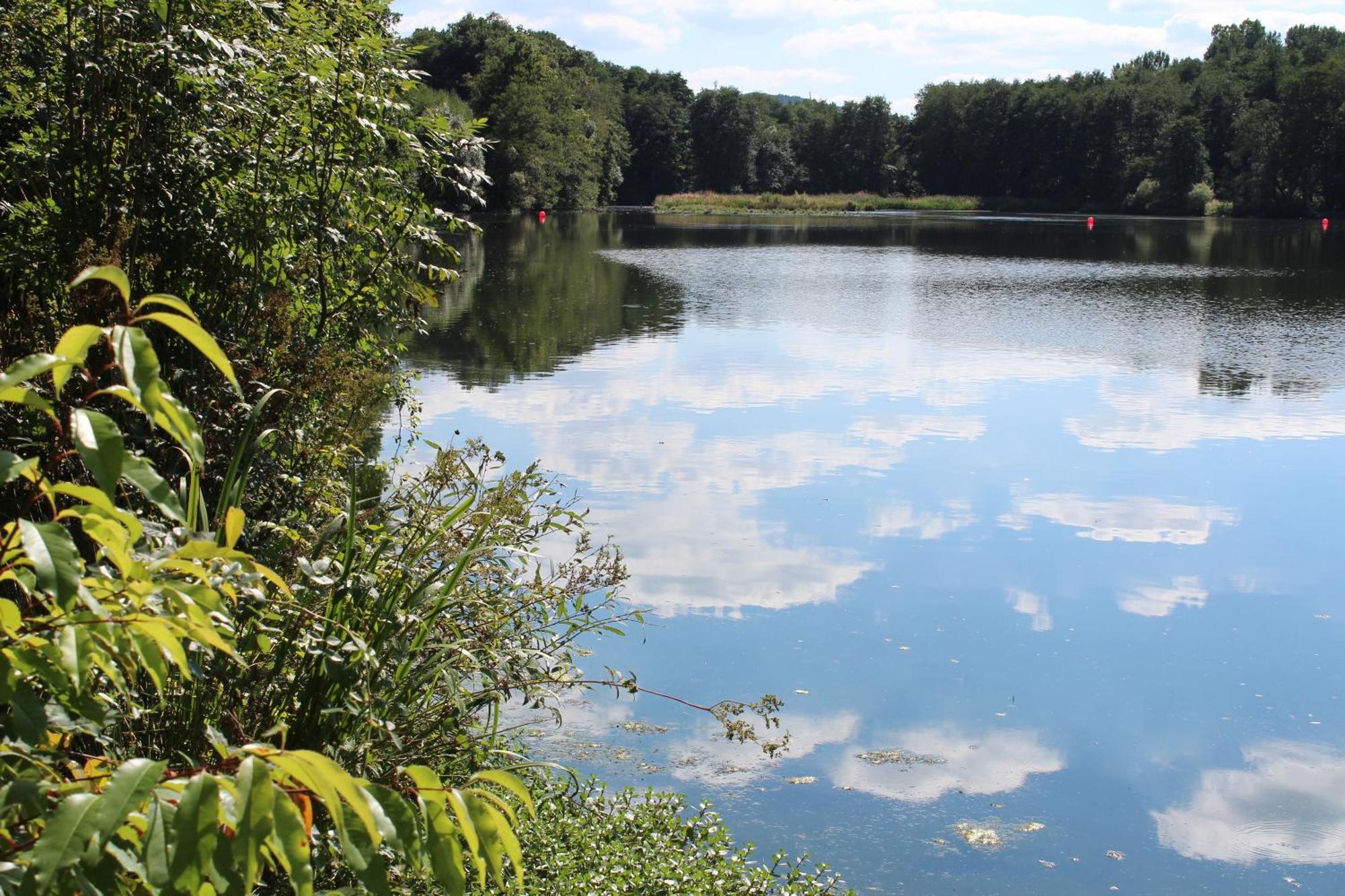 KNAUS Campingpark Hennesee Meschede Eksteriør bilde